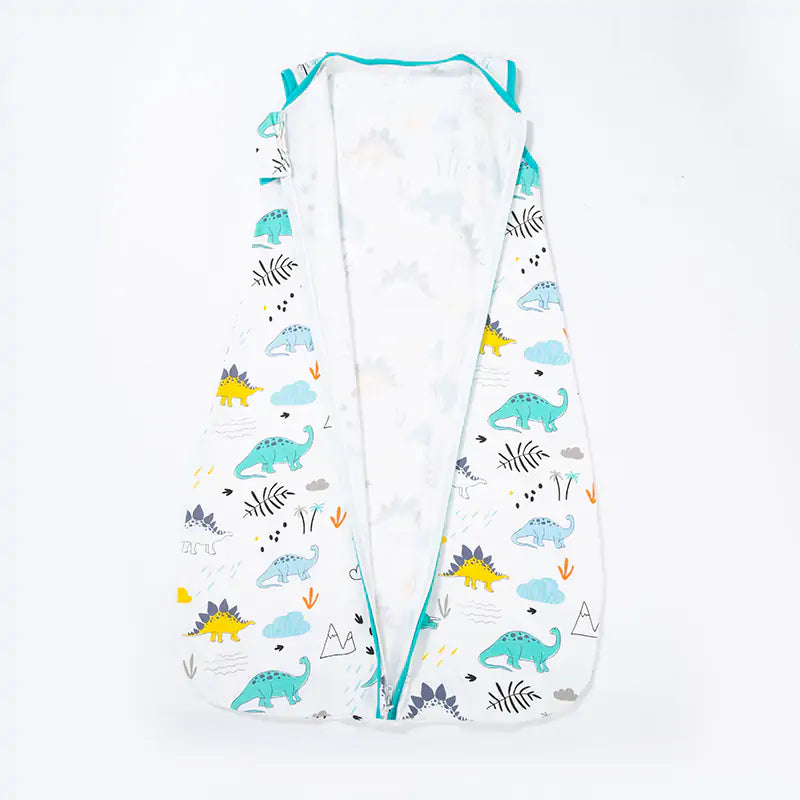 Newborn Sleepy Sack Blanket
