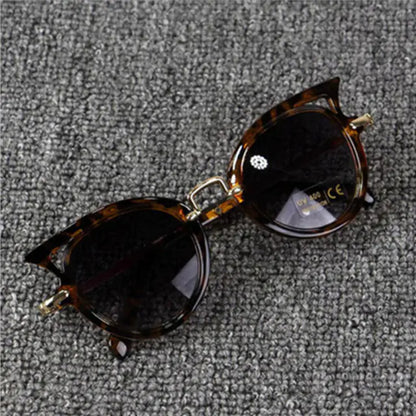The Hollywood Sunglasses