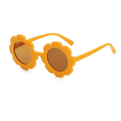 The Hollywood Sunglasses
