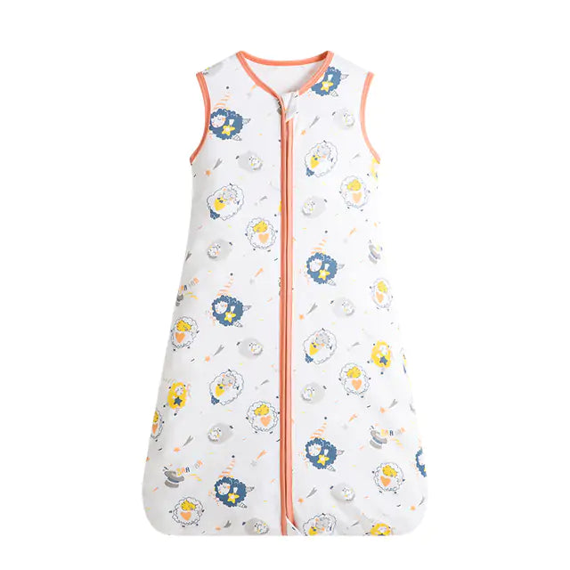 Newborn Sleepy Sack Blanket